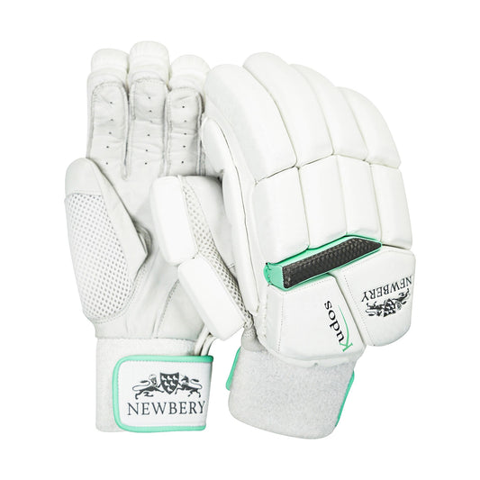 Kudos Cricket Batting Gloves
