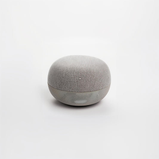 google smart speaker